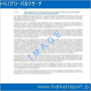 市場と産業調査レポートのイメージ